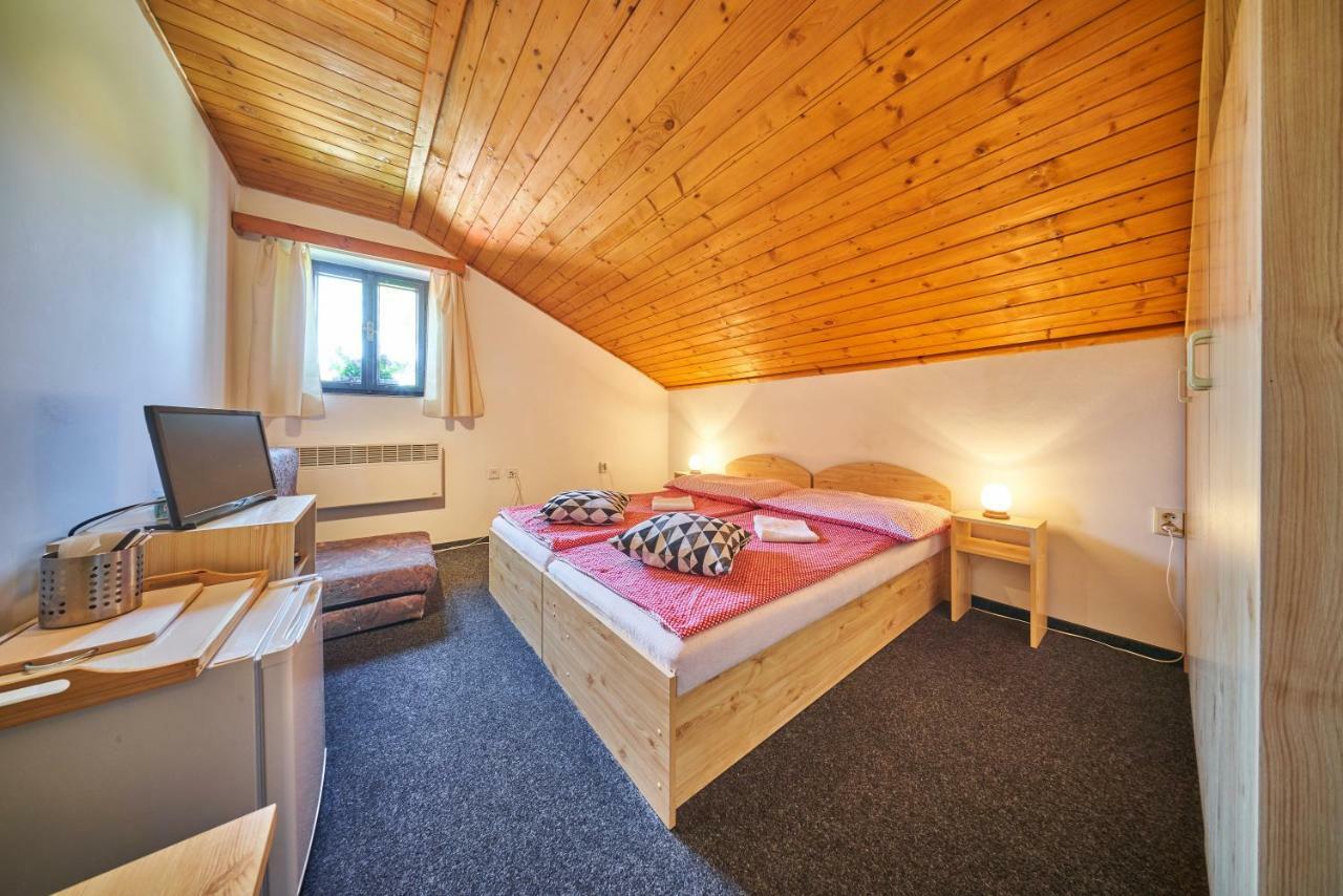Отель Penzion Pod Lesem Hodkovice Экстерьер фото